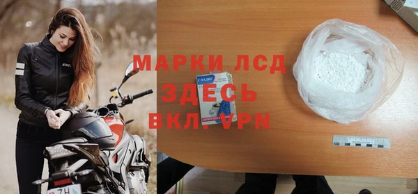ГАЛЛЮЦИНОГЕННЫЕ ГРИБЫ Карталы