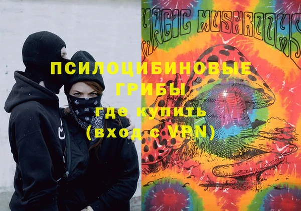ГАЛЛЮЦИНОГЕННЫЕ ГРИБЫ Карталы