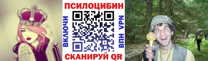 Купить  Смоленск  Галлюциногенные грибы прущие грибы 